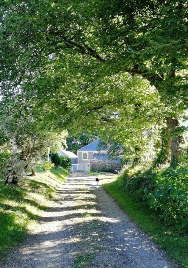 Cornwall, Looe - Magical Pendriffey Pelynt Екстериор снимка