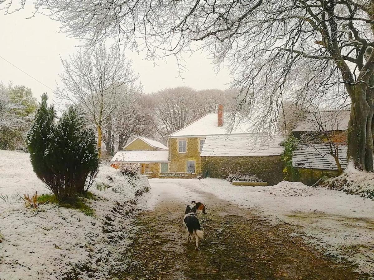 Cornwall, Looe - Magical Pendriffey Pelynt Екстериор снимка