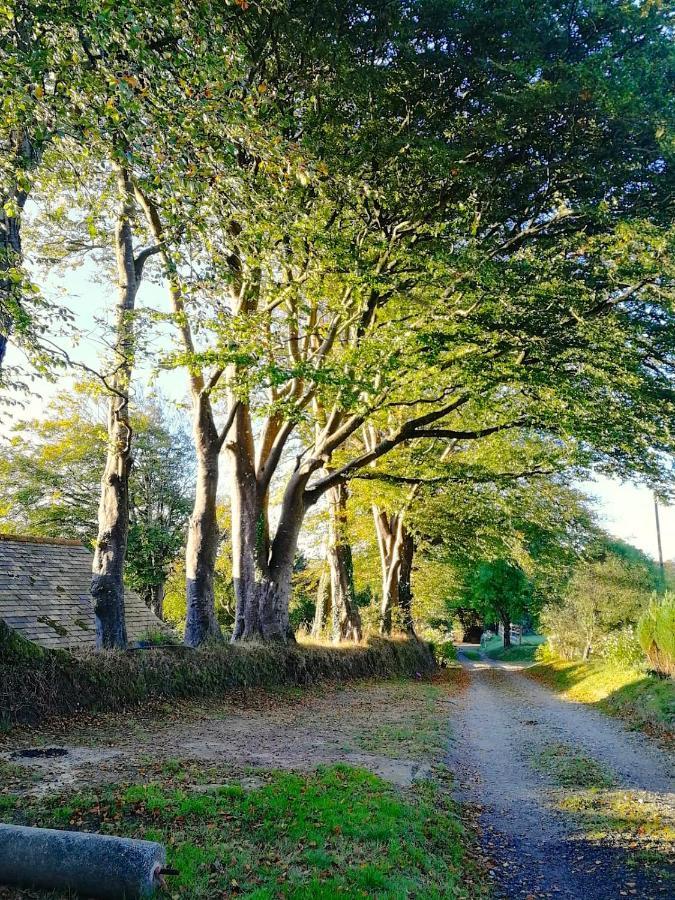 Cornwall, Looe - Magical Pendriffey Pelynt Екстериор снимка